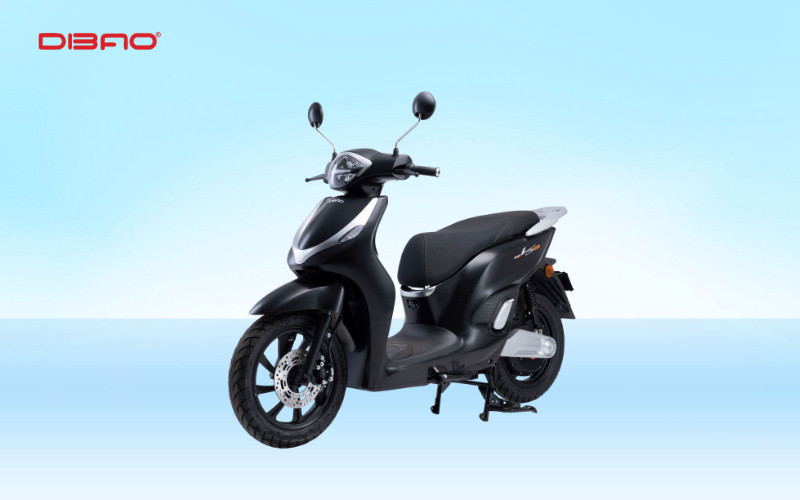 Xe máy điện Dibao LS007